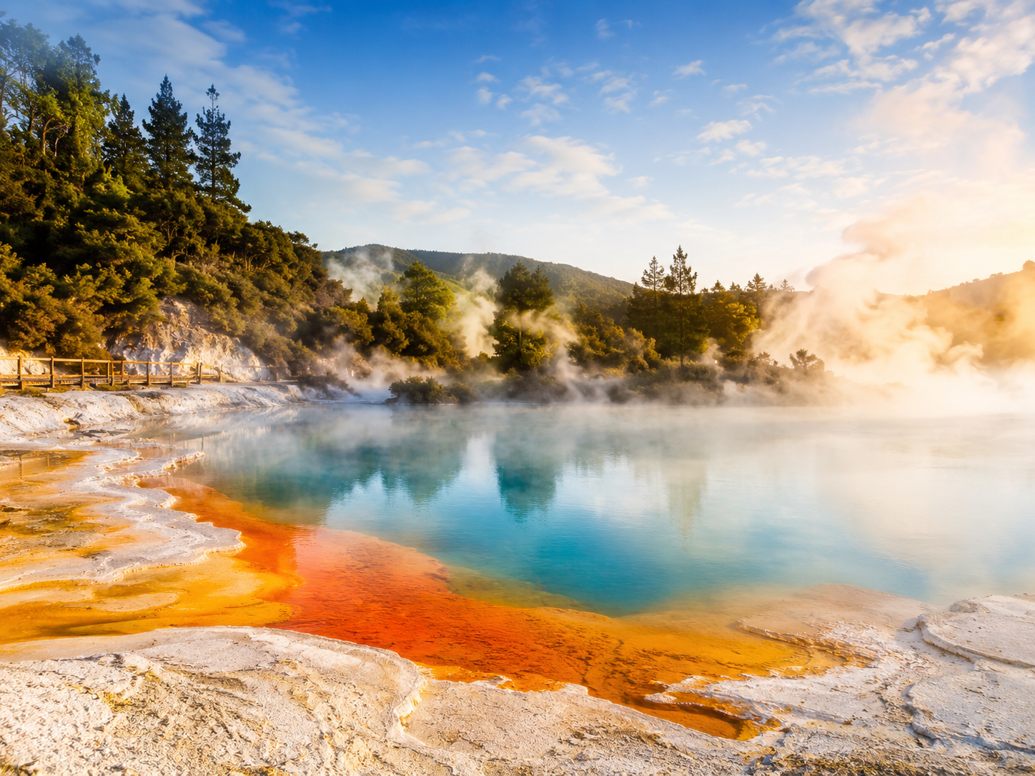 Rotorua geothermal landscape