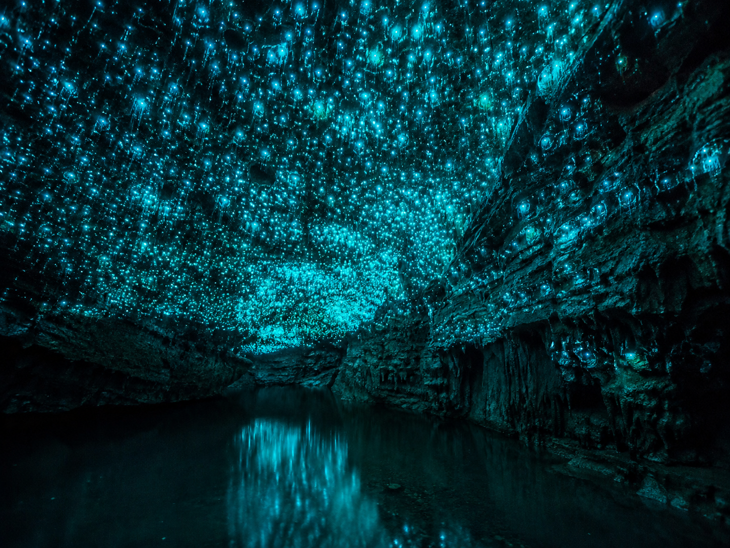 Waitomo cave and glowworm landscape