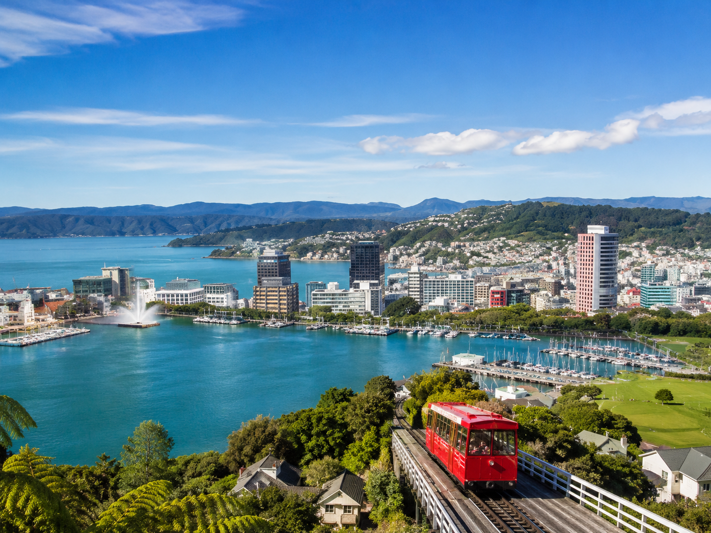 Wellington harbour and city